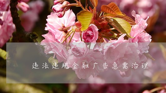 违法违规金融广告急需治理 违法违规金融广告急需治理