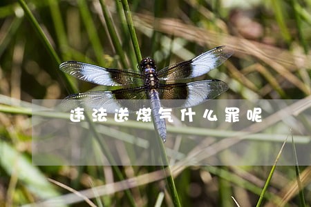 违法送煤气什么罪呢 违法送煤气什么罪呢