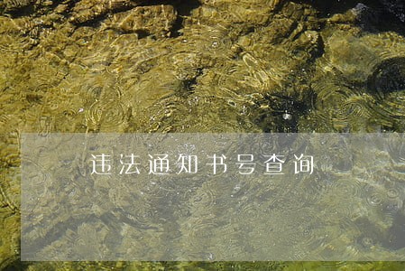 违法通知书号查询