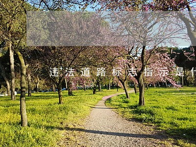 违法道路标志指示是什么意思 违法道路标志指示是什么意思