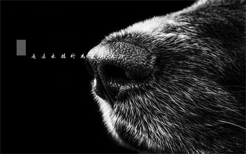 违法采摘行为基本消除 违法采摘行为基本消除