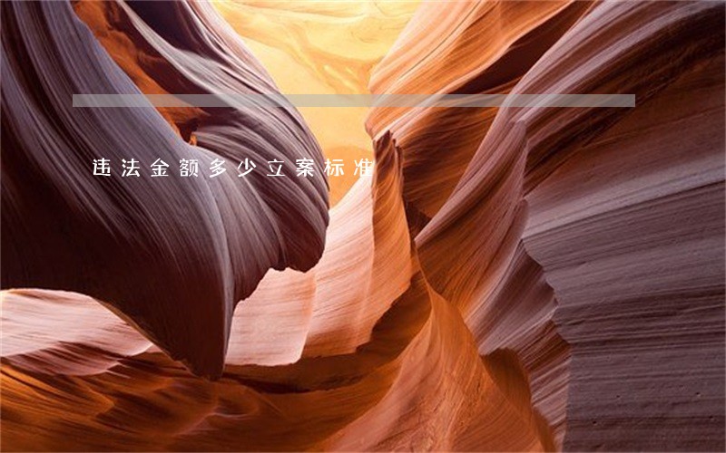 违法金额多少立案标准 违法金额多少立案标准
