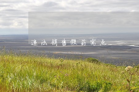 违法销售假药窝点
