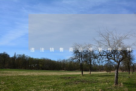 违法销售商品房宣传资料 违法销售商品房宣传资料
