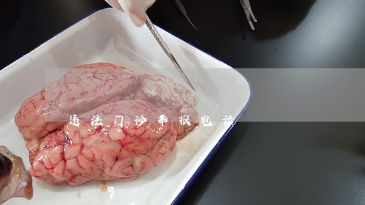 违法门诊举报电话 违法门诊举报电话
