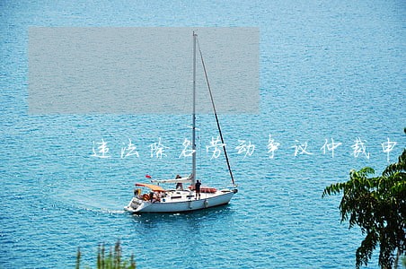 违法除名劳动争议仲裁申请书范本 违法除名劳动争议仲裁申请书范本