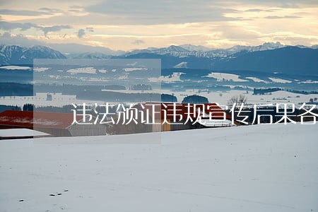 违法颁证违规宣传后果各自承担 违法颁证违规宣传后果各自承担