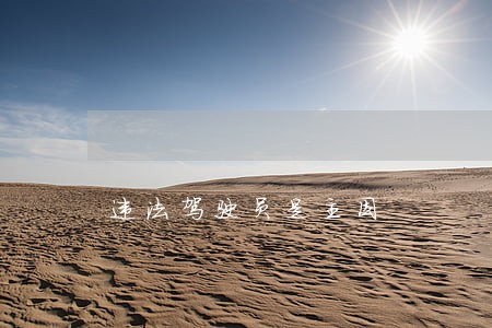 违法驾驶员是主因 违法驾驶员是主因