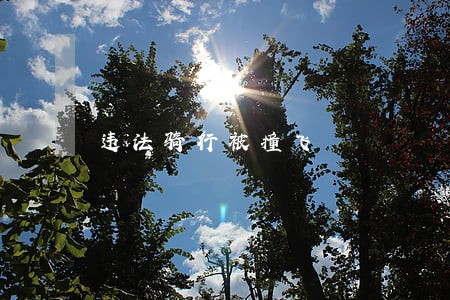 违法骑行被撞飞 违法骑行被撞飞