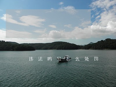 违法鸣号怎么处罚