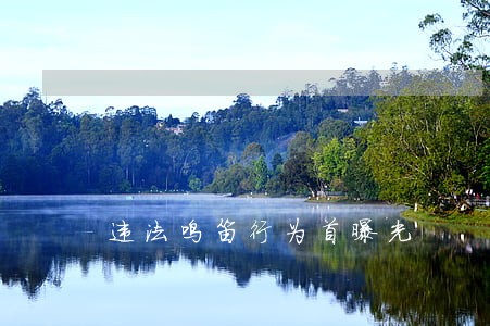 违法鸣笛行为首曝光 违法鸣笛行为首曝光