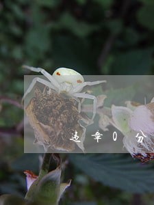 违章0分0罚款能逾期么 违章0分0罚款能逾期么