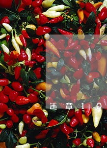 违章100元罚款逾期一年 违章100元罚款逾期一年