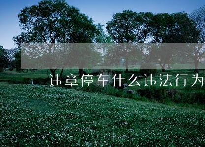 违章停车什么违法行为 违章停车什么违法行为