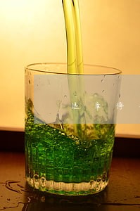 违章停车算是违法未处理吗 违章停车算是违法未处理吗