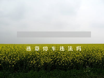 违章停车违法吗