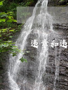 违章和违法是一样的概念吗 违章和违法是一样的概念吗