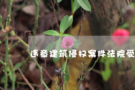 违章建筑侵权案件法院受不受理