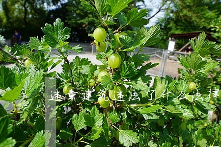 违章建筑违法了什么法律