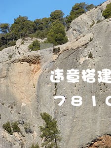 违章搭建与违法搭建/2023020597810 违章搭建与违法搭建/2023020597810