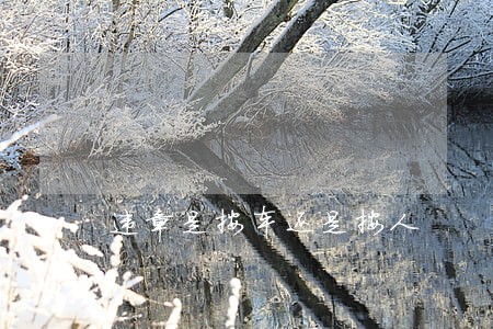 违章是按车还是按人 违章是按车还是按人