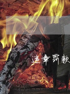 违章罚款100逾期一月 违章罚款100逾期一月