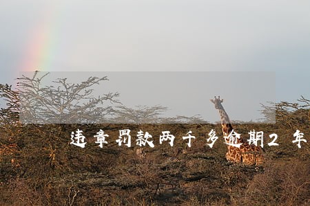 违章罚款两千多逾期2年 违章罚款两千多逾期2年