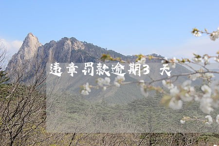 违章罚款逾期3天 违章罚款逾期3天