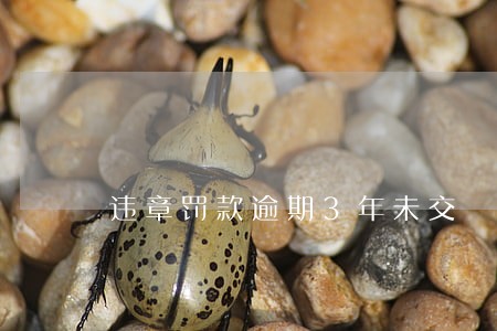 违章罚款逾期3年未交 违章罚款逾期3年未交