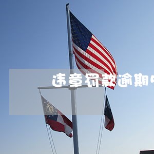 违章罚款逾期5个