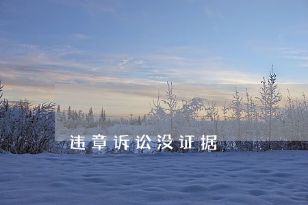 违章诉讼没证据 违章诉讼没证据