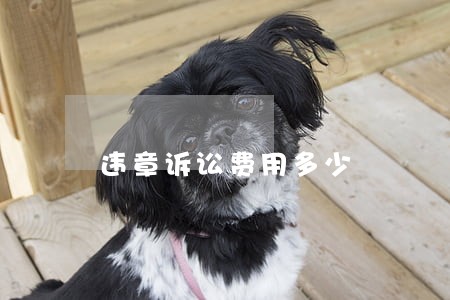 违章诉讼费用多少