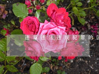 违章违法违规犯罪的区别