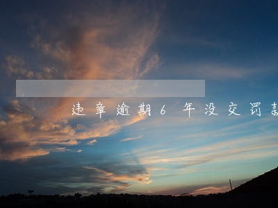 违章逾期6年没交罚款