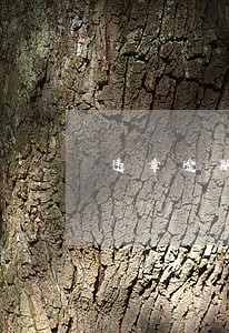 违章逾期未处理上信用卡 违章逾期未处理上信用卡