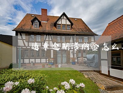 违章逾期滞纳金怎么算6 违章逾期滞纳金怎么算6