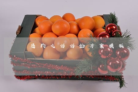 违约之诉诉讼方案模板 违约之诉诉讼方案模板