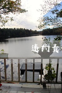 违约责任的法律条文