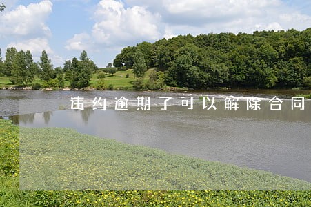 违约逾期了可以解除合同吗6 违约逾期了可以解除合同吗6