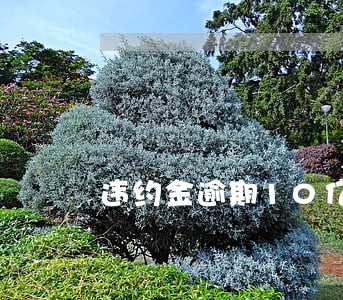 违约金逾期10亿 违约金逾期10亿