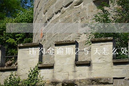 违约金逾期25天怎么处理 违约金逾期25天怎么处理