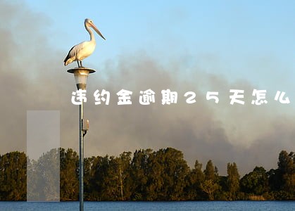 违约金逾期25天怎么处罚 违约金逾期25天怎么处罚
