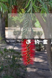 违约金逾期4天怎么计算 违约金逾期4天怎么计算