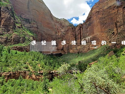 违纪跟违法赔偿的一样吗 违纪跟违法赔偿的一样吗