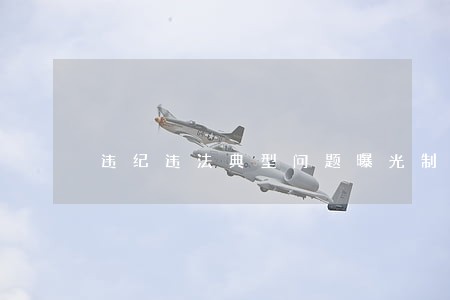 违纪违法典型问题曝光制度 违纪违法典型问题曝光制度