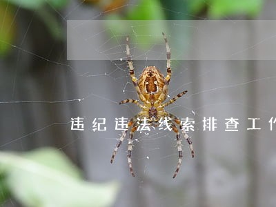 违纪违法线索排查工作总结 违纪违法线索排查工作总结