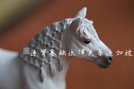 违背基础法律关系追加被告