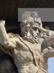 违背的是什么法规