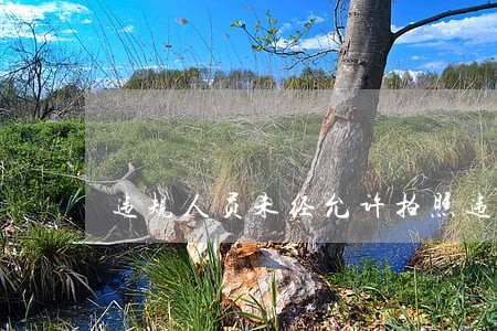 违规人员未经允许拍照违法吗 违规人员未经允许拍照违法吗