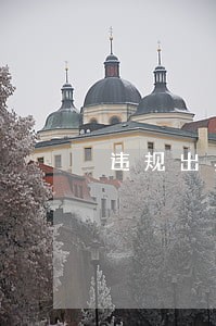 违规出具金融票证罪的法院判例 违规出具金融票证罪的法院判例